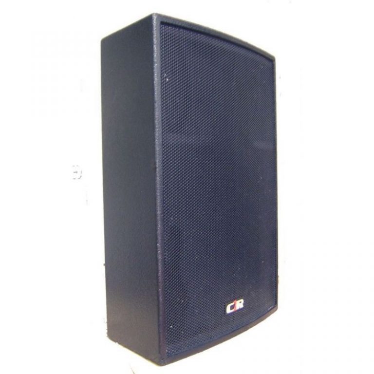 Enceinte Q110 C2R AUDIO